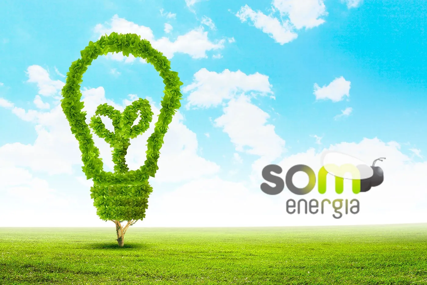  Energía eléctrica 100% verde